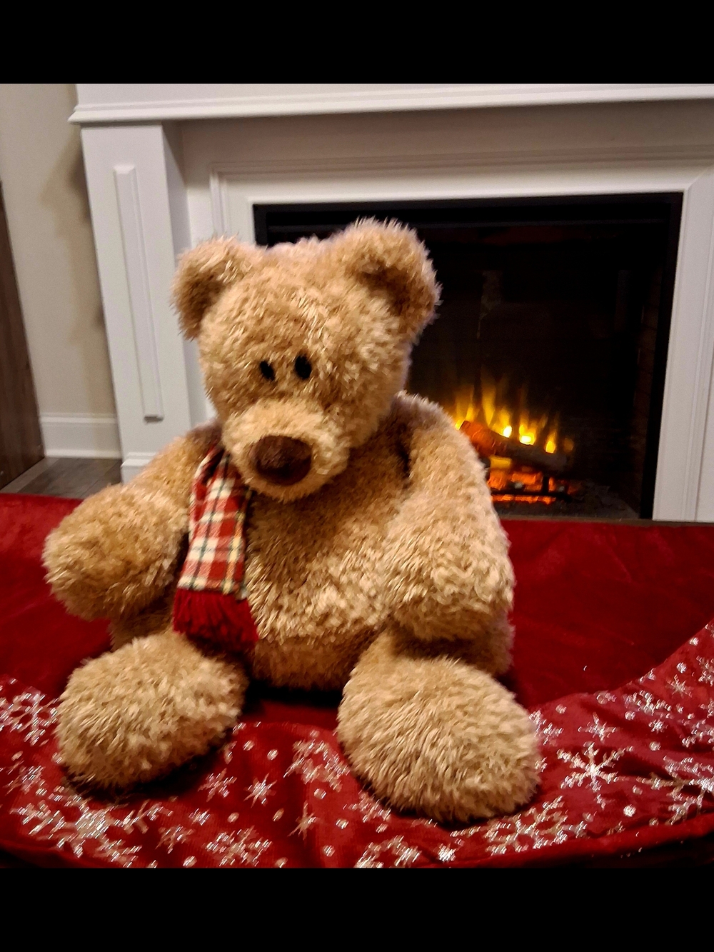 Gund Winter Bear - Picture 2 of 5